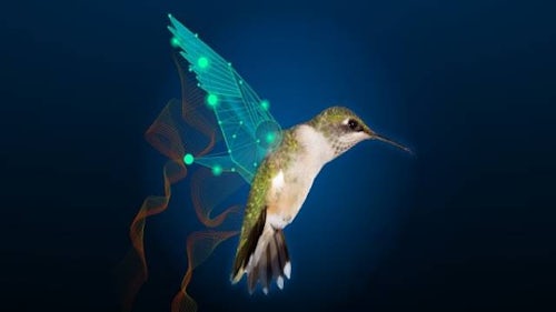 Conception et simulation d'un colibri en vol